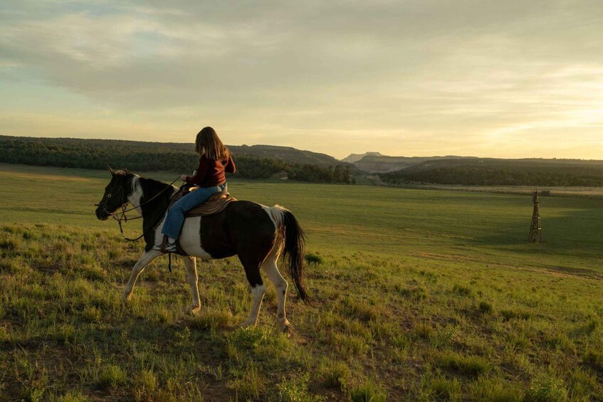 A person riding a horse in a grassy field with hills in the background. 2