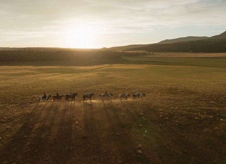 A group of people on horseback in a vast open field with a mountain in the background. 3