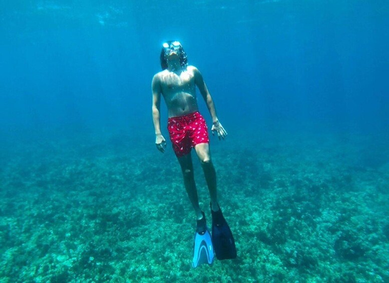 Picture 3 for Activity Kerkennah: Fishing Boat Trip with Lunch and Snorkeling 5
