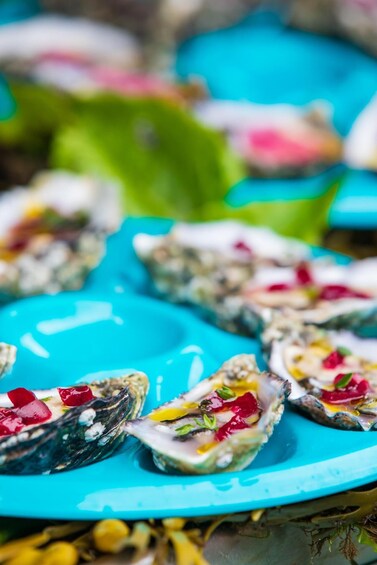 Picture 2 for Activity Sligo: Afternoon Sea Oyster Tasting with Wine Pairing 3
