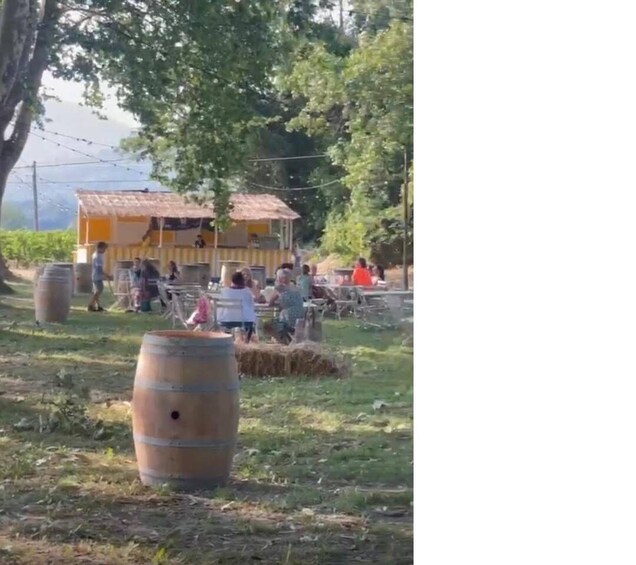 Aperitif/Pétanque in the vineyards 1
