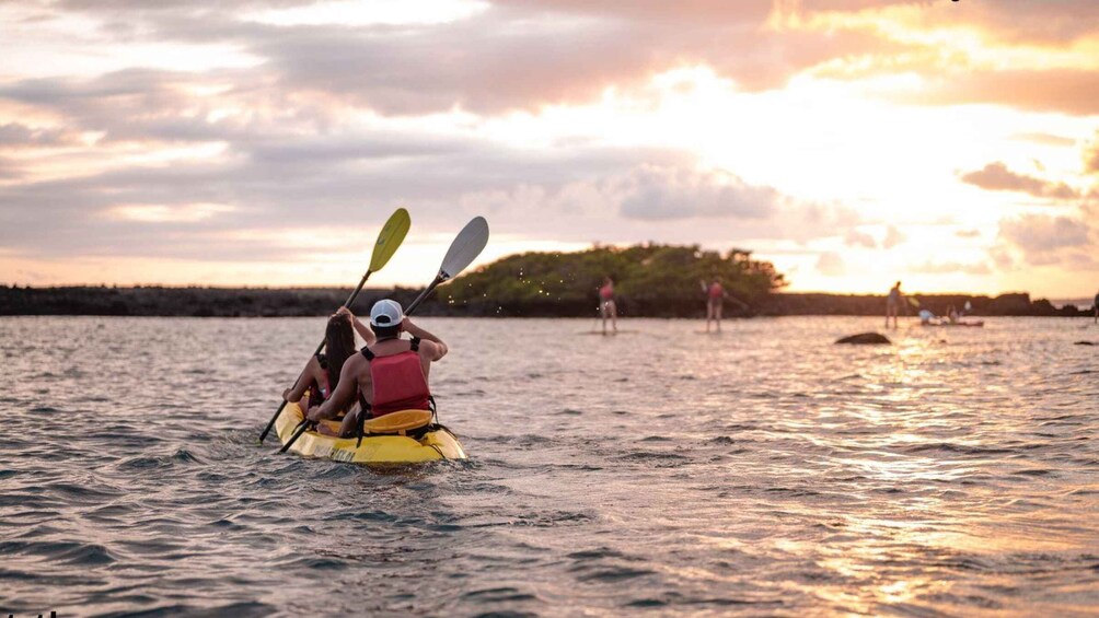Picture 3 for Activity Isabela Island: Kayak sightseeing tour to Tintoreras with a bilingual tour guide 1