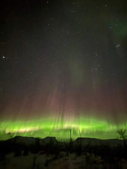 A night sky with stars and the aurora borealis. 1