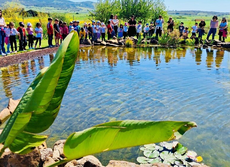 Sardinia: Workshop in the garden and experience in nature 3