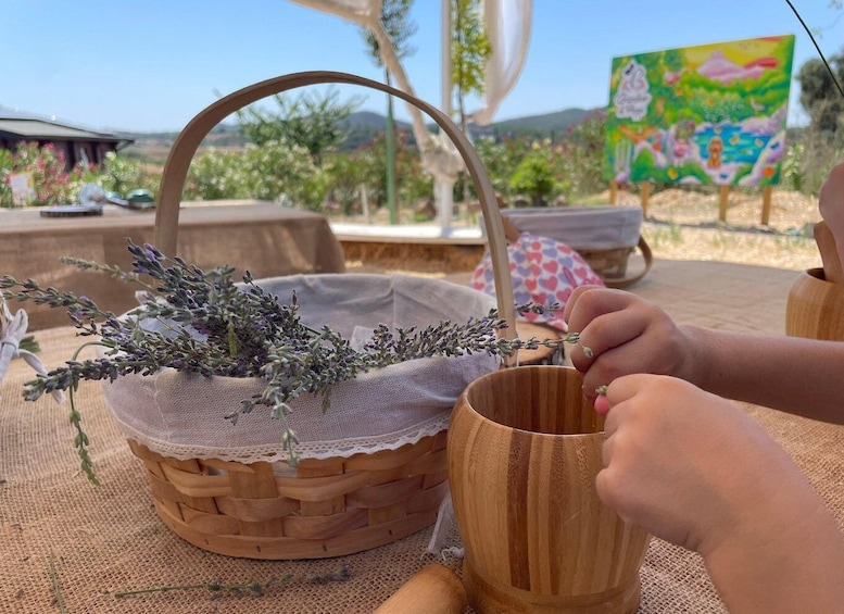 Picture 3 for Activity Sardinia: Workshop in the garden and experience in nature 1
