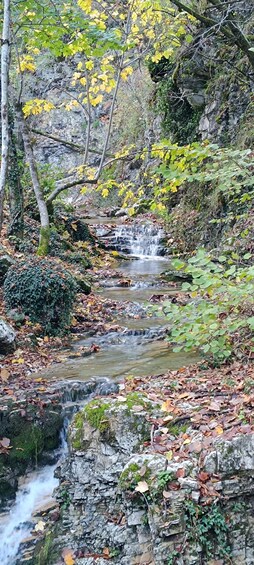 Picture 2 for Activity Perun Trail: In the Footsteps of Slavic Gods Tour 3