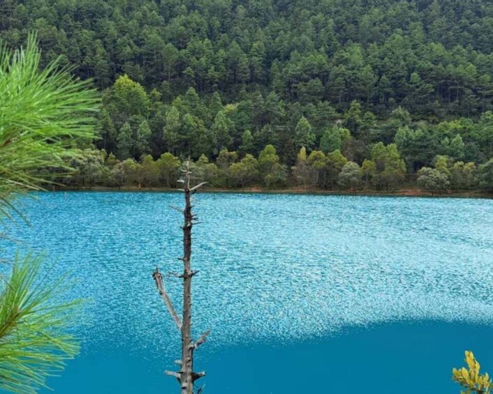 Picture 19 for Activity From Lijiang: Yulong Snow Mountain Private Tour & Cable Car 4