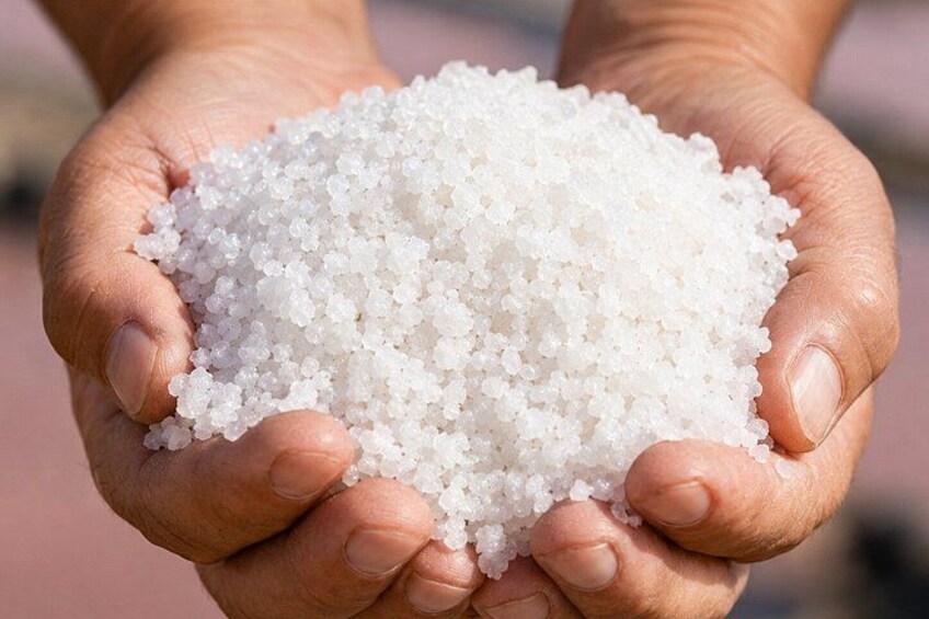 A pair of hands holding a pile of white granular material. 5