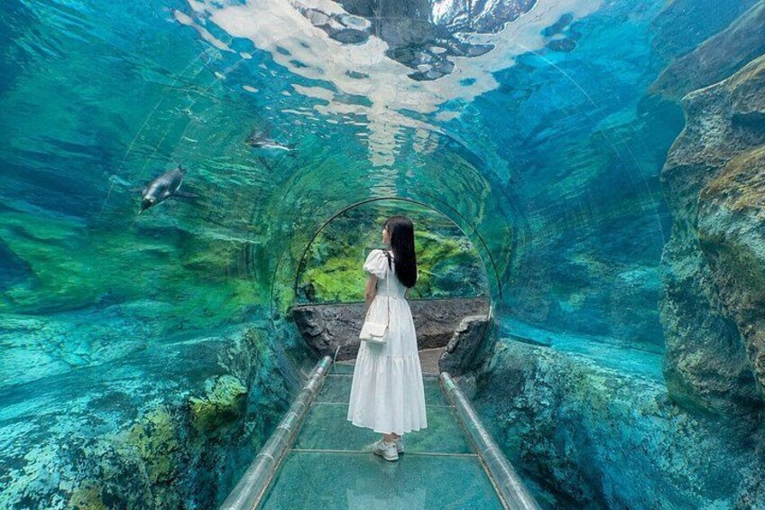 A person in a white dress walking through a glass tunnel with clear water and rocks. 2