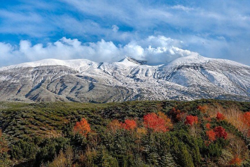 A snow-capped mountain range with autumn foliage in the foreground. 3