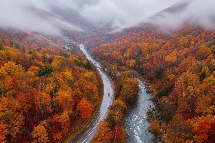 A winding road through a forest with autumn foliage. 4
