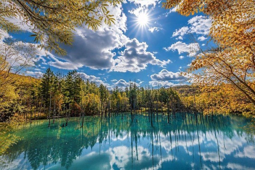 A lake reflecting trees and sky. 5