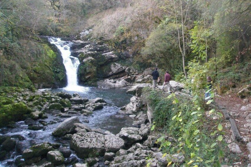 Private Basque Valley Experience with Nature and Local Flavors 5