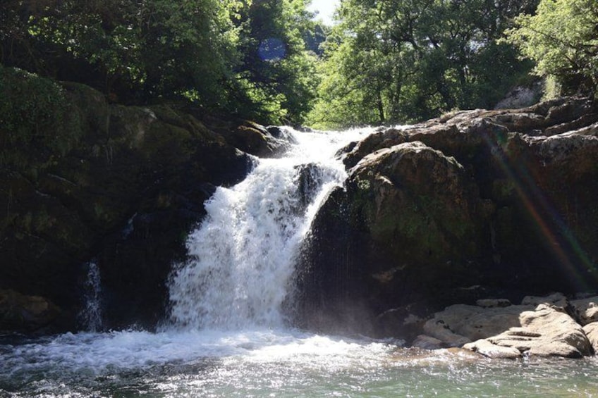 A waterfall cascading over rocks into a river surrounded by lush greenery. 3