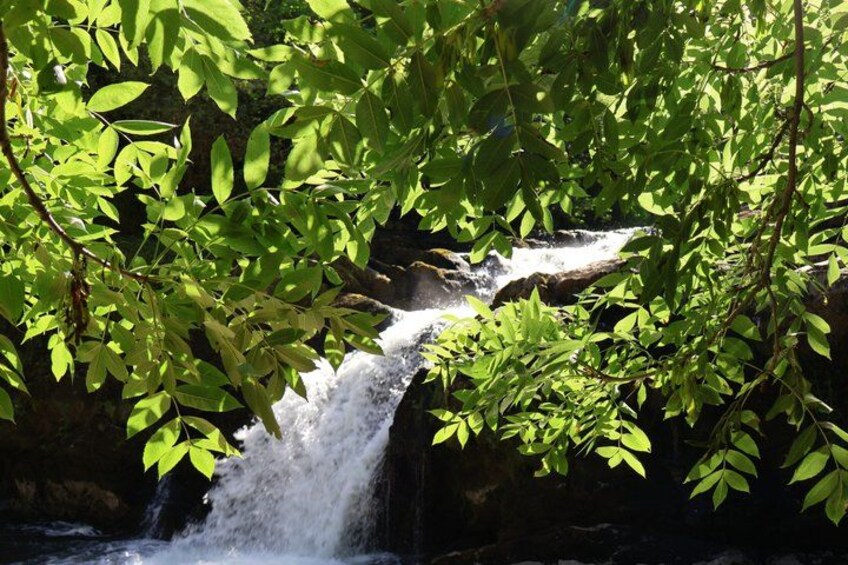 A waterfall surrounded by lush green foliage. 2