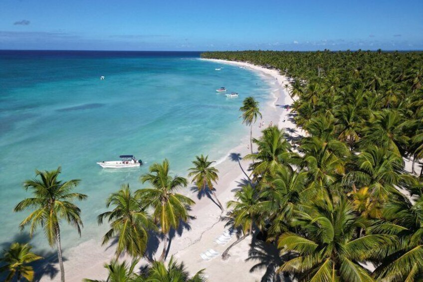 Saona Island 4 Premium VIP Beaches from Punta Cana 2