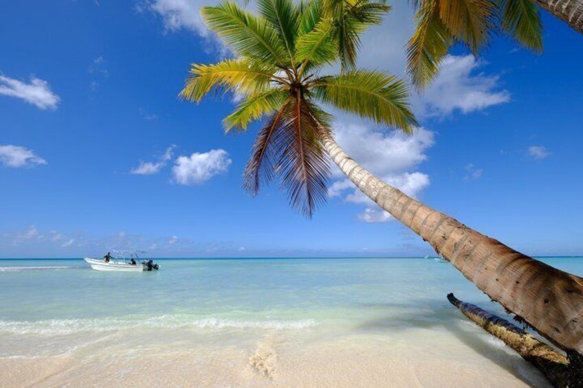 Saona Island 4 Premium VIP Beaches from Punta Cana 1