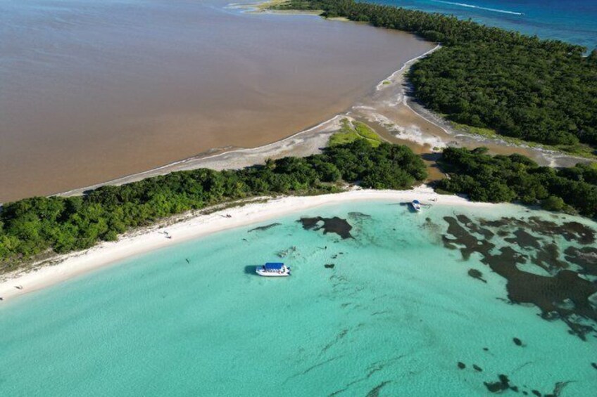 Saona Island 4 Premium VIP Beaches from Punta Cana 3
