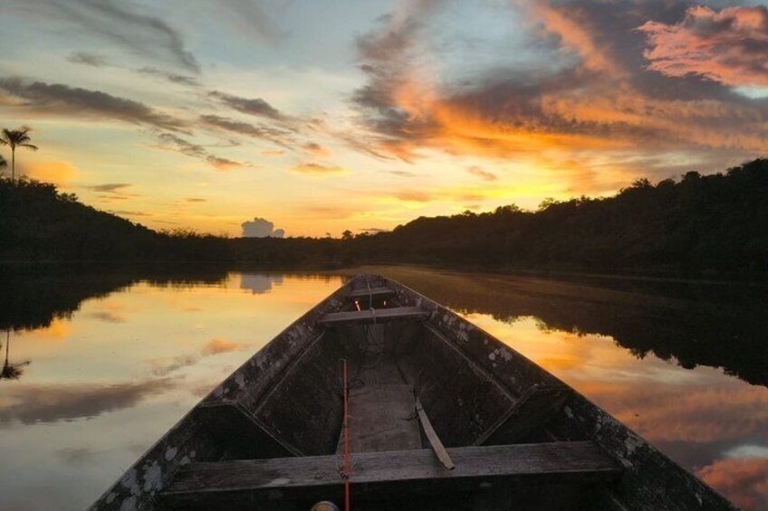 A full-day immersive experience in the Amazon forest 4