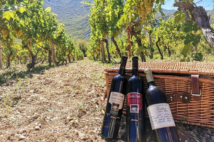 A vineyard with rows of grapevines and a wicker basket with bottles of wine. 2