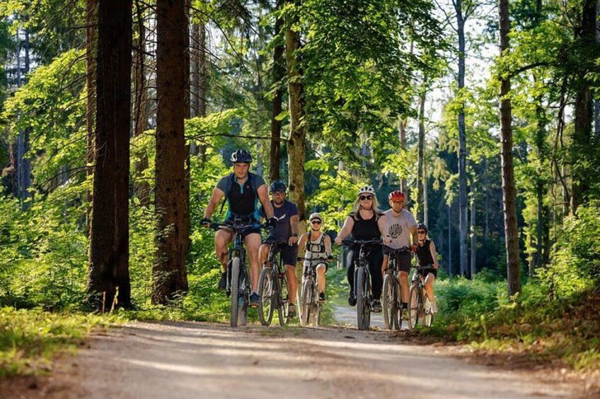 A group of cyclists on a forest trail surrounded by tall trees. 5