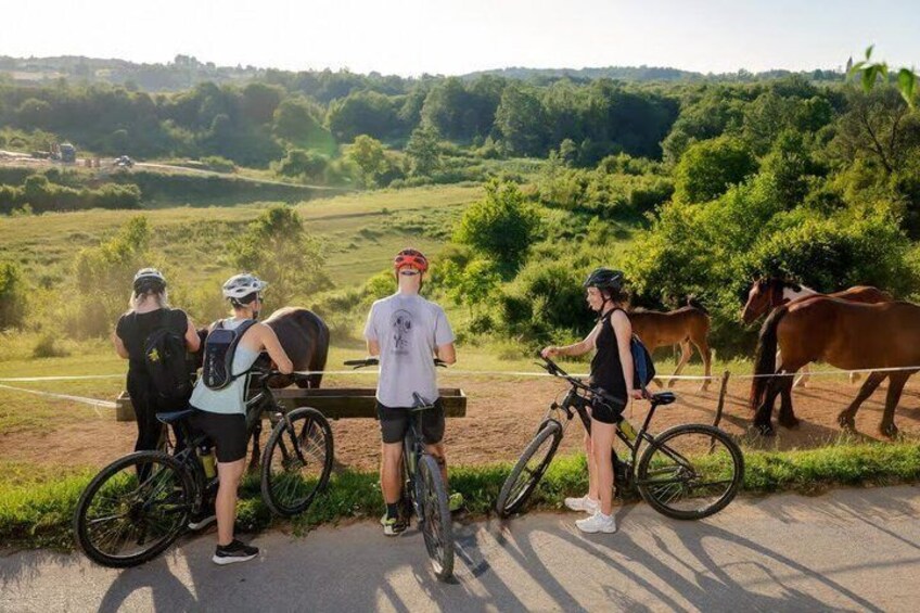 Discover Slunj on eBike with Mirela Active Studio 5