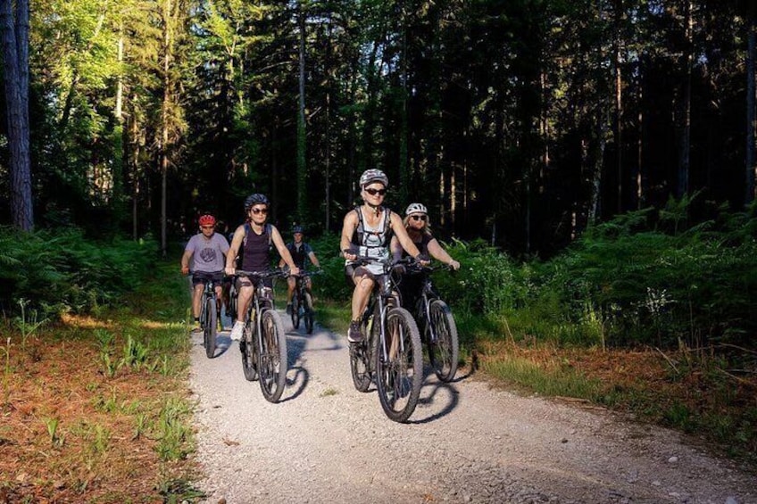 A group of cyclists on a forest trail. 5