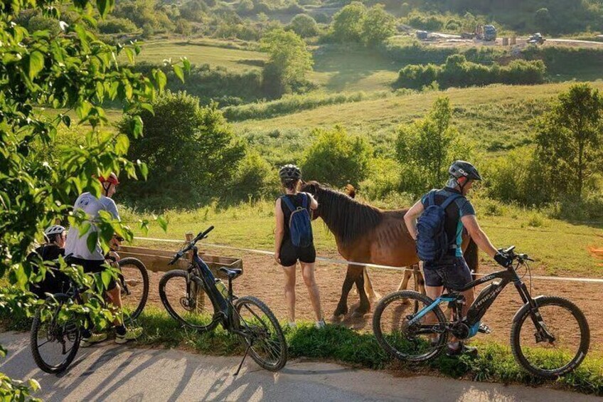 A group of cyclists with horses on a dirt path, surrounded by greenery and hills. 4