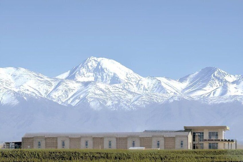 Uco Valley Wine Experience Full Day with Husbandry 5