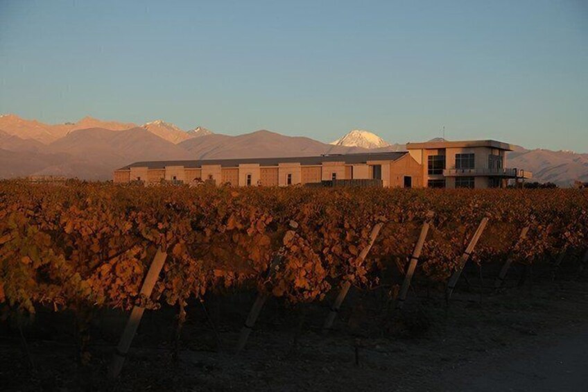 Uco Valley Wine Experience Full Day with Husbandry 2