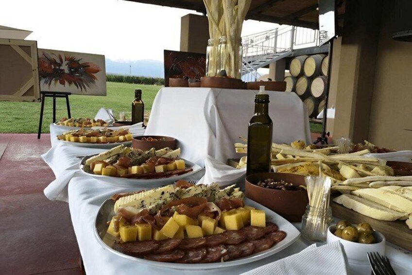 Uco Valley Wine Experience Full Day with Husbandry 4