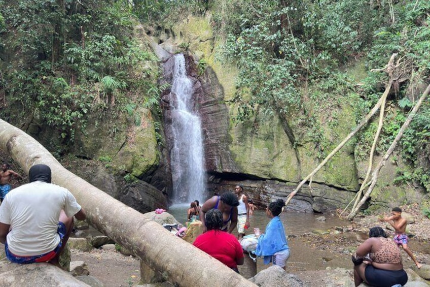 A Day At Falling Edge Waterfalls In Kingston 3