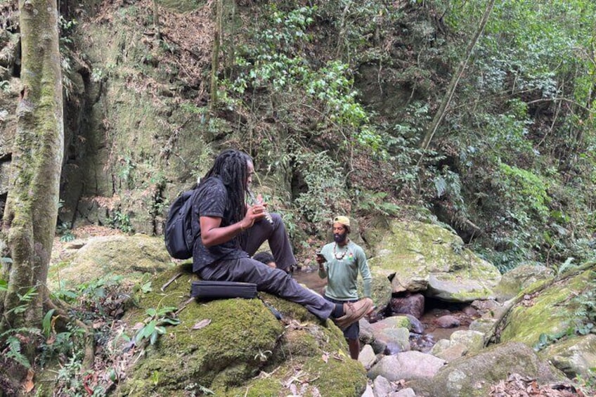 A Day At Falling Edge Waterfalls In Kingston 2