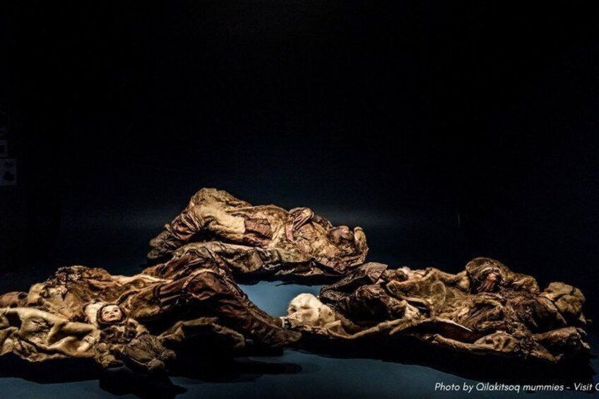 A collection of mummies displayed in a dark setting. 2