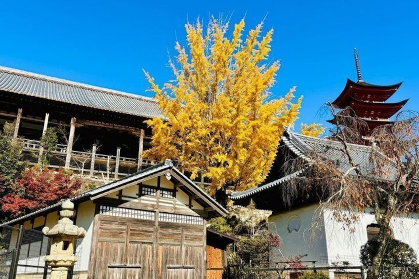 Miyajima Small Group Tour from Hiroshima Station 4