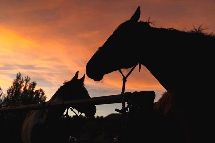 Sunrise Horseback Ride in Southern Utah 1