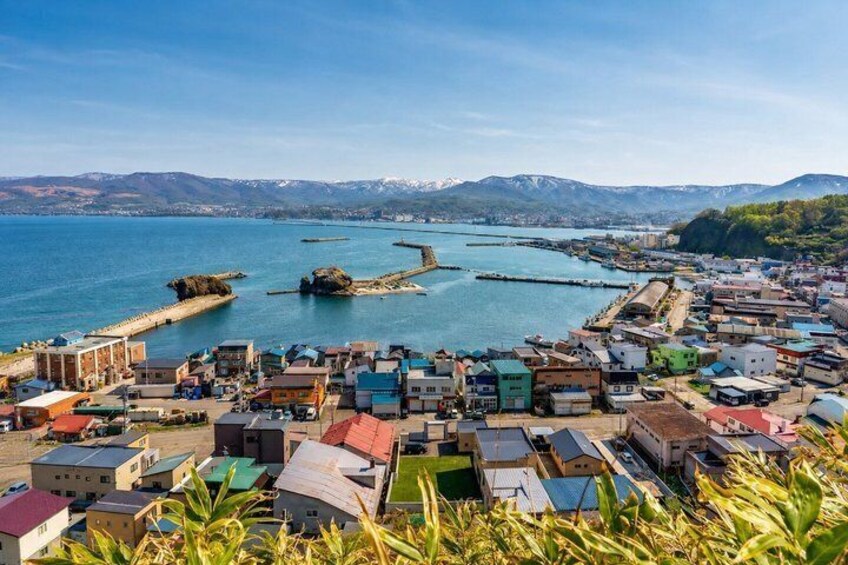 Private Yoichi 8 Hours Tour from Sapporo 3