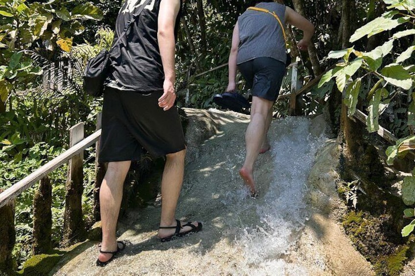 Two people hiking on a rocky trail surrounded by greenery. 5
