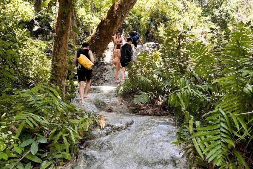 Chiang Mai Bua Thong Sticky Waterfall with Hotel Transfer 2