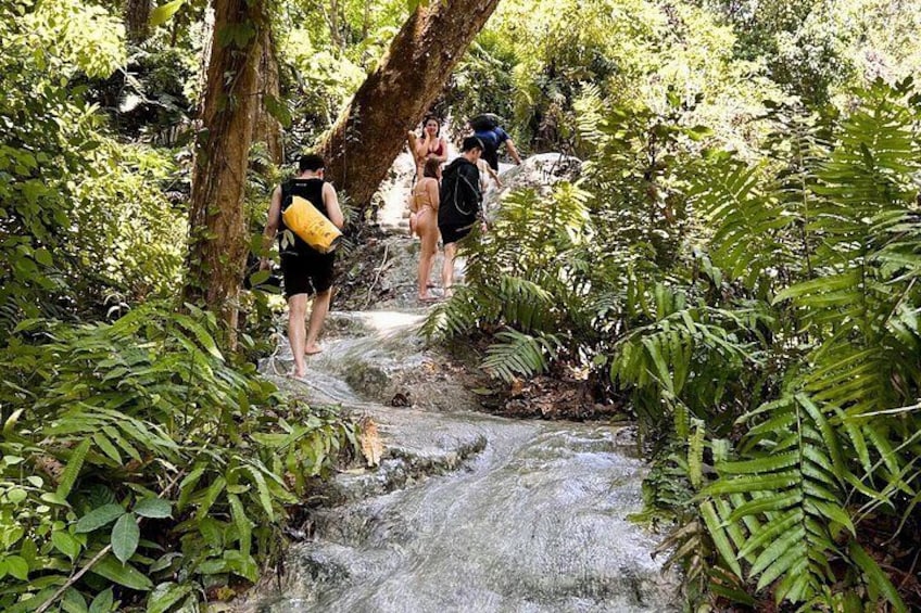 A group of people hiking on a narrow, rocky path surrounded by dense green foliage. 4