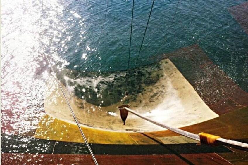 A boat with a paddle in the water, a rope, and a wooden surface. 4