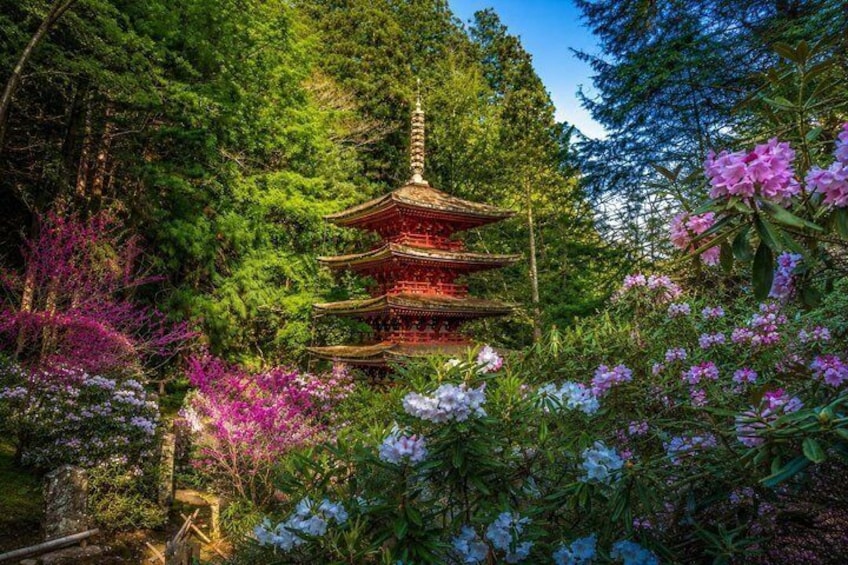 Un pagodas tradicional de varios niveles, rodeado de exuberante vegetación y flores vibrantes. 1