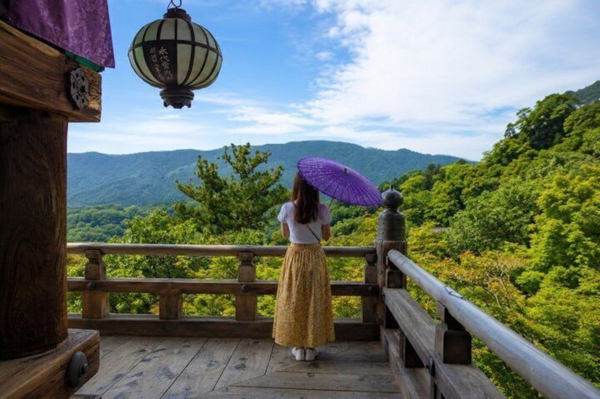 Una persona de pie en una cubierta de madera con vista a un paisaje verde exuberante y montañas a lo lejos. 4