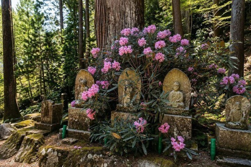 Un área boscosa con estatuas de piedra y flores rosadas. 5