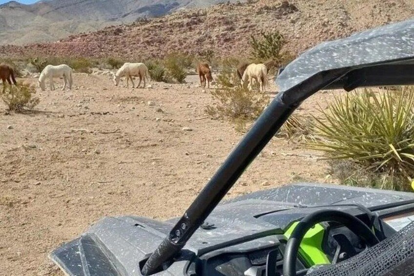 A desert landscape with sparse vegetation and a vehicle in the foreground. 3