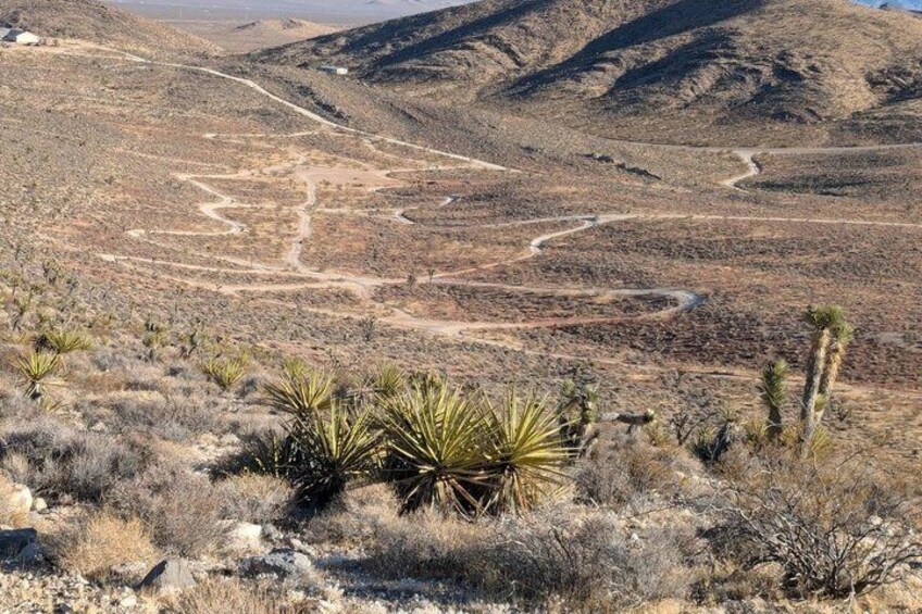 A desert landscape with sparse vegetation, including yucca plants, and a winding dirt road. 4
