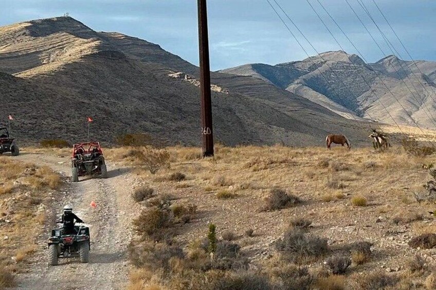 A dirt road with off-road vehicles, a utility pole, and a mountainous landscape. 5