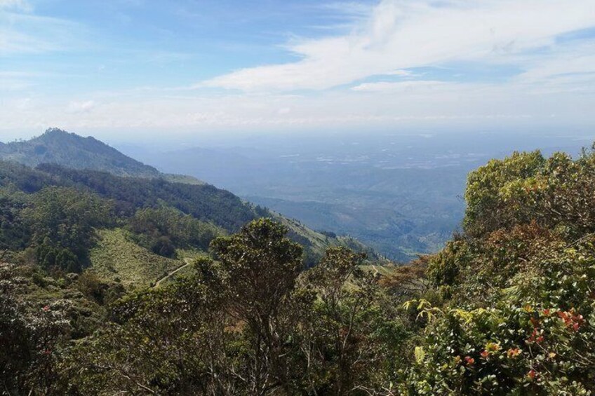 A mountainous landscape with dense vegetation and a distant view of a valley. 2