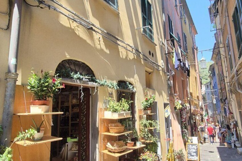 A narrow street with buildings on either side, outdoor plants, and a signboard. 3