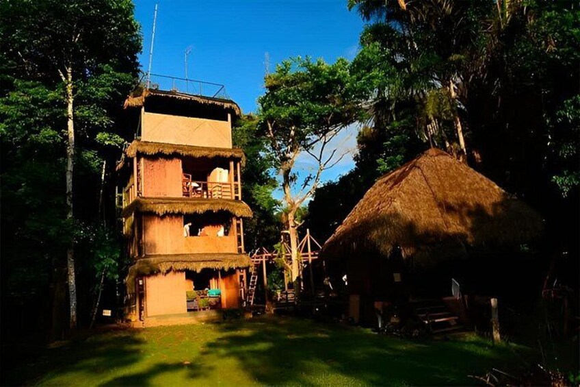 A multi-story wooden structure with a thatched roof, surrounded by trees and a grassy area. 5